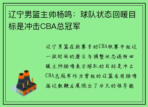 辽宁男篮主帅杨鸣：球队状态回暖目标是冲击CBA总冠军
